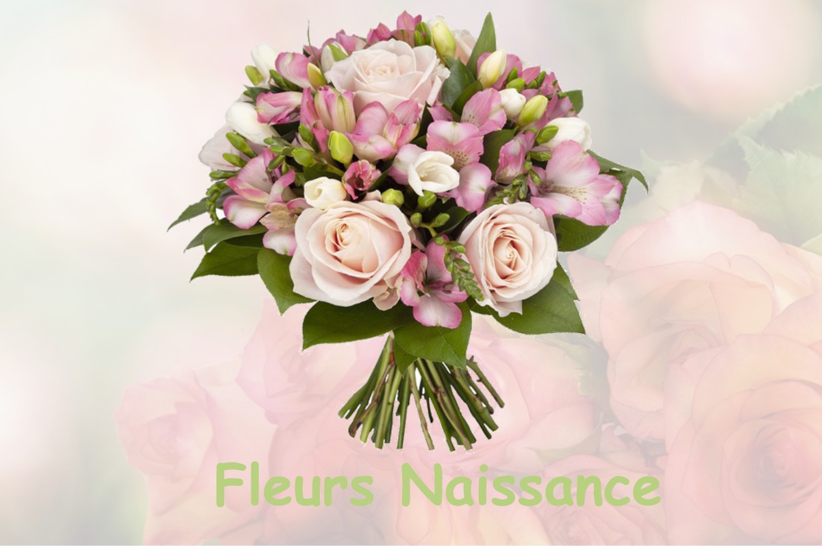 fleurs naissance SAINT-AMAND-SUR-ORNAIN