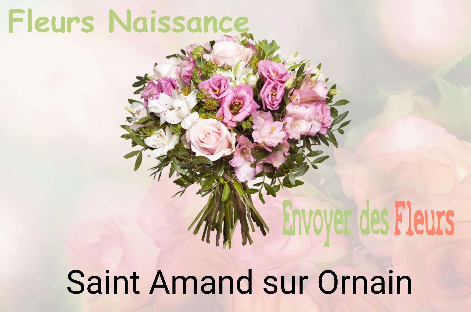 Bouquet de fleurs de naissance livré à Saint-Amand-sur-Ornain