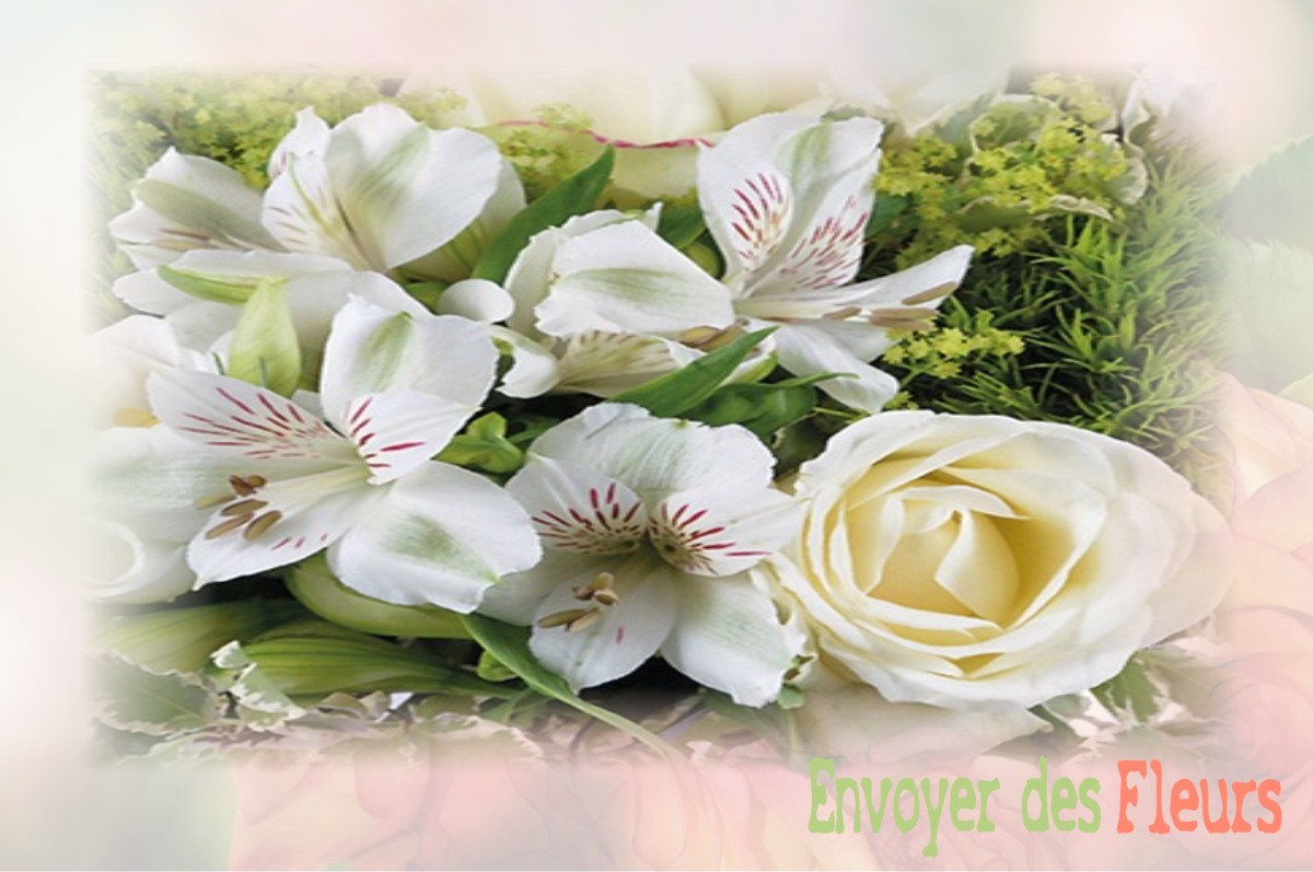 envoyer des fleurs à à SAINT-AMAND-SUR-ORNAIN