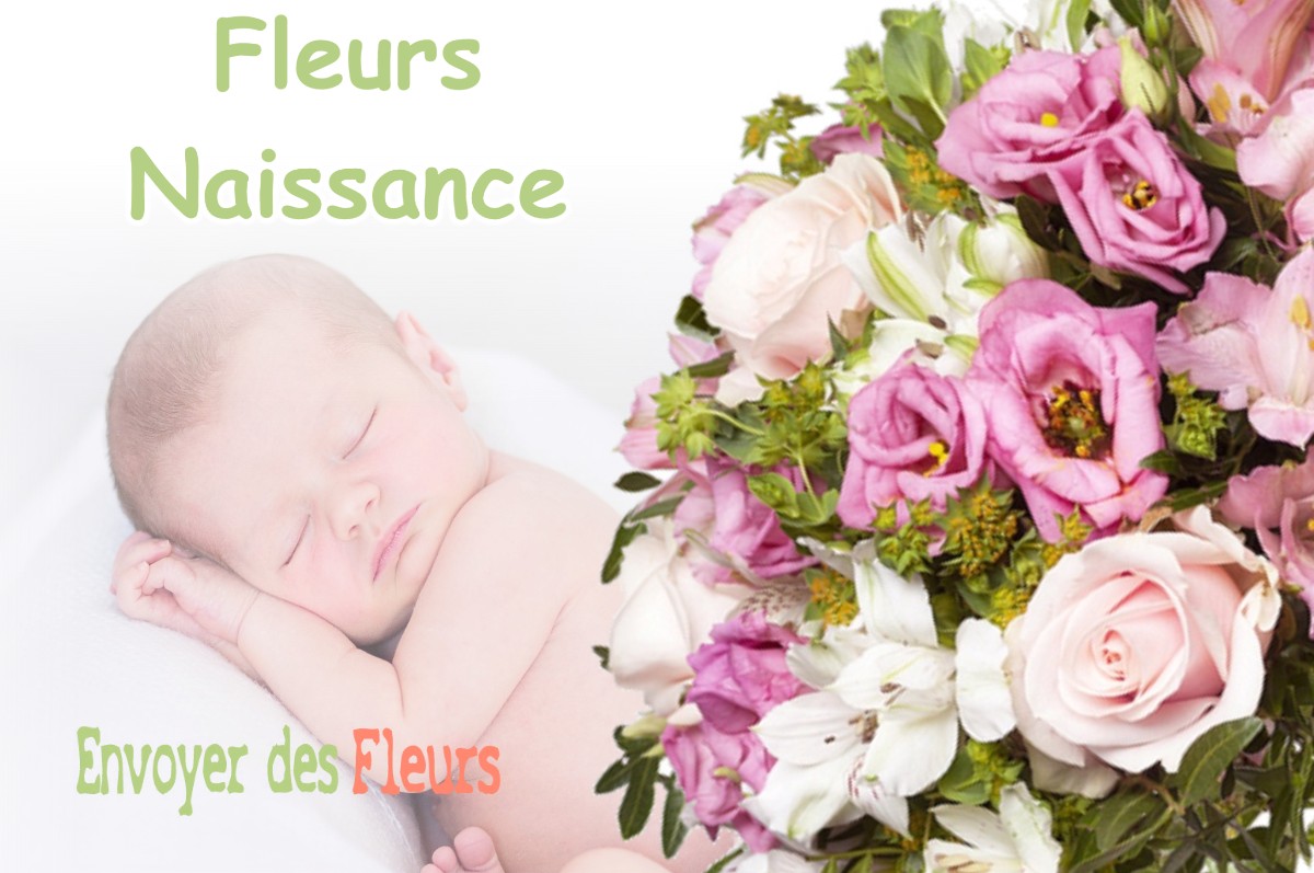 lIVRAISON FLEURS NAISSANCE à SAINT-AMAND-SUR-ORNAIN